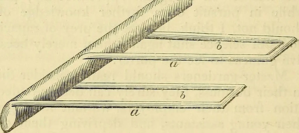 An illustration from The gardener's magazine and register of rural & domestic improvement, 1826, leaf 30