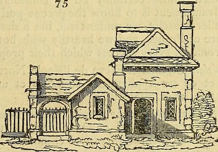 An illustration from The gardener's magazine and register of rural & domestic improvement, 1826, leaf 331