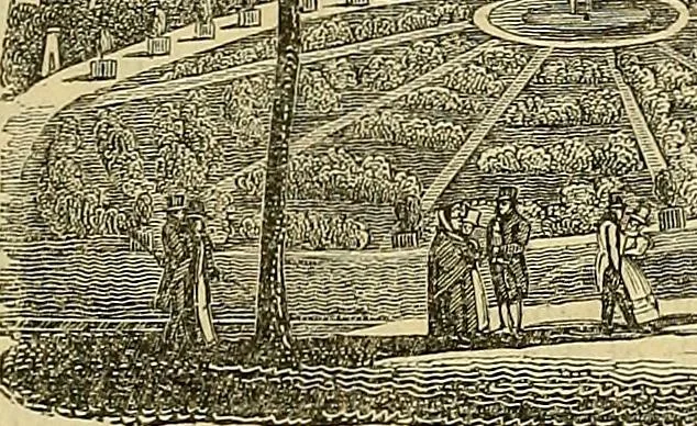 An illustration from The gardener's magazine and register of rural & domestic improvement, 1826, leaf 337