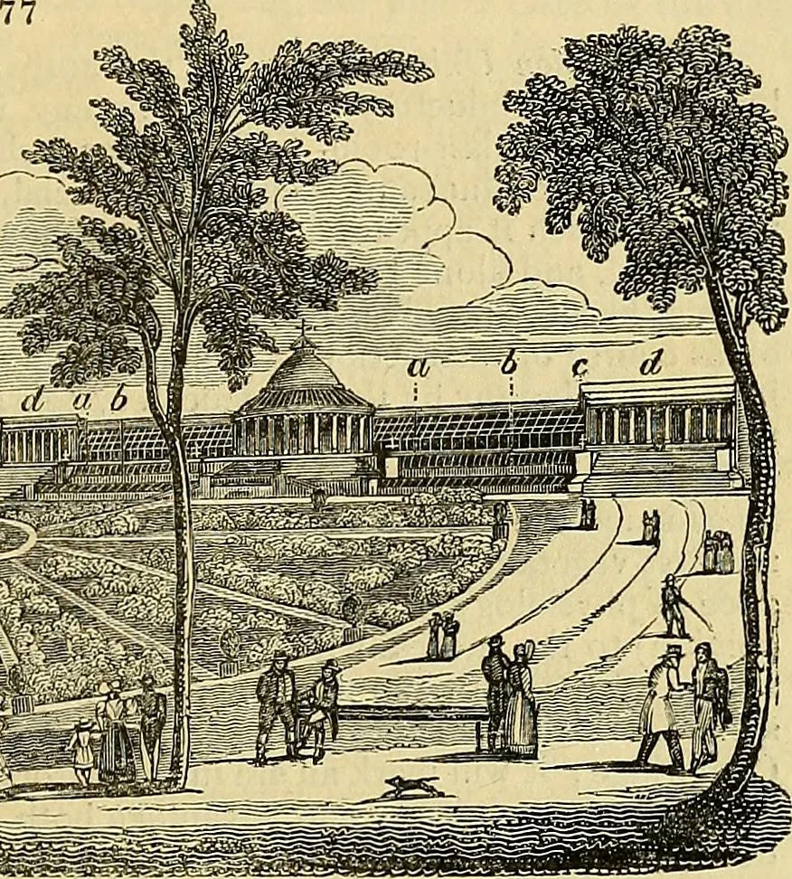 An illustration from The gardener's magazine and register of rural & domestic improvement, 1826, leaf 337