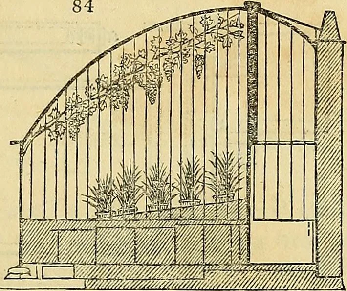 An illustration from The gardener's magazine and register of rural & domestic improvement, 1826, leaf 427