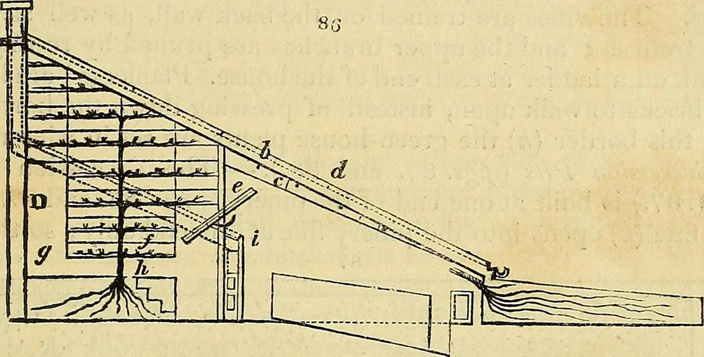 An illustration from The gardener's magazine and register of rural & domestic improvement, 1826, leaf 429
