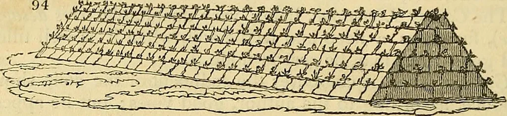 An illustration from The gardener's magazine and register of rural & domestic improvement, 1826, leaf 448