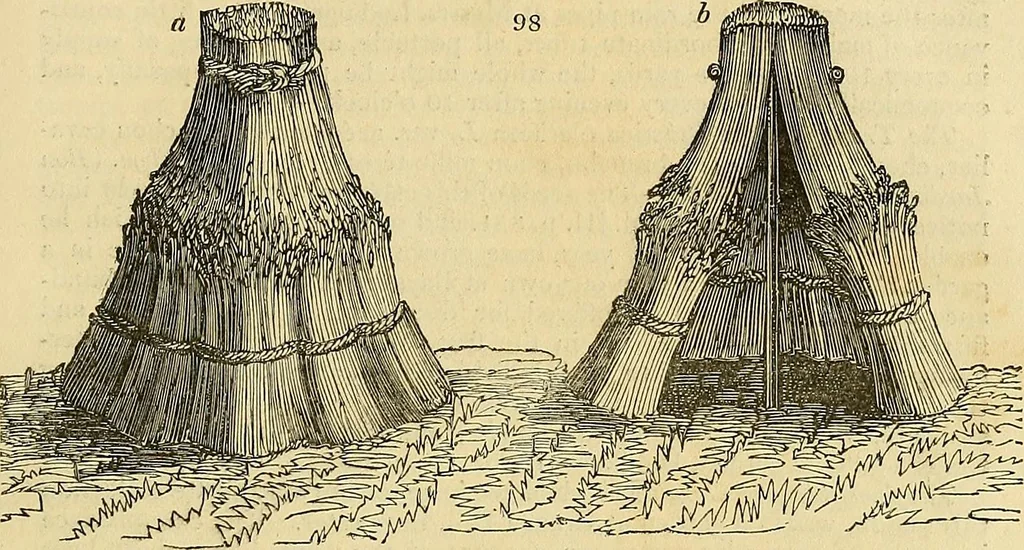 An illustration from The gardener's magazine and register of rural & domestic improvement, 1826, leaf 469