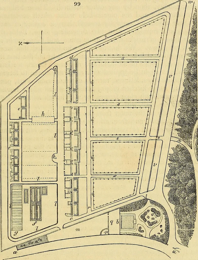 An illustration from The gardener's magazine and register of rural & domestic improvement, 1826, leaf 513