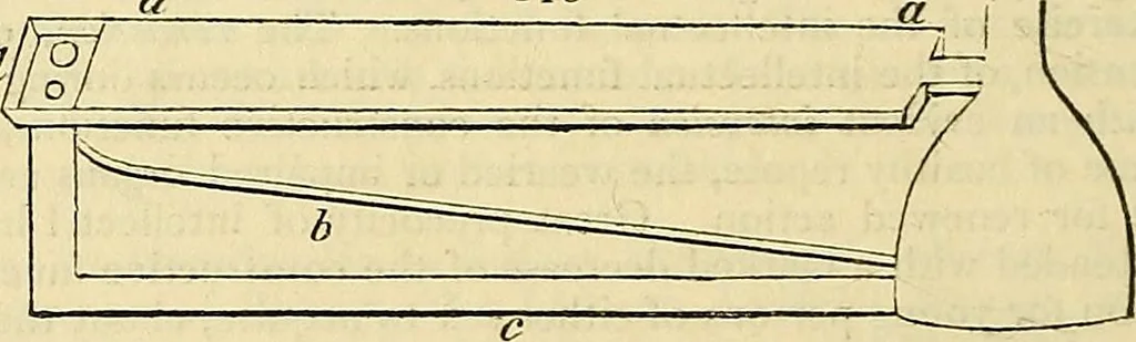 An illustration from The gardener's magazine and register of rural & domestic improvement, 1826, leaf 554