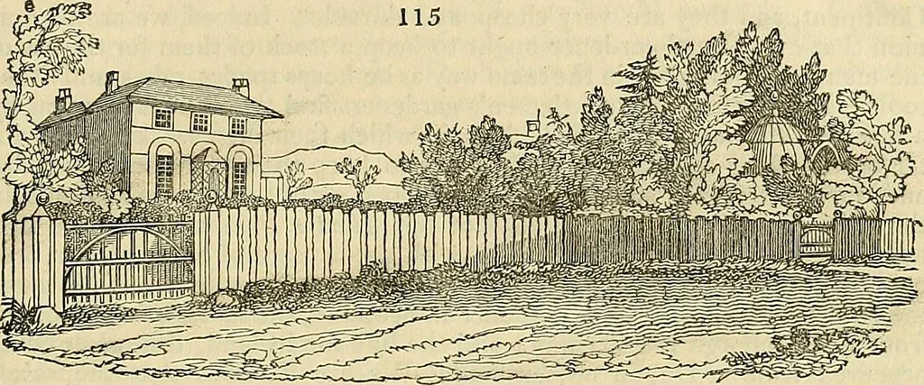 An illustration from The gardener's magazine and register of rural & domestic improvement, 1826, leaf 585