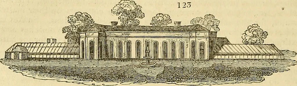An illustration from The gardener's magazine and register of rural & domestic improvement, 1826, leaf 604