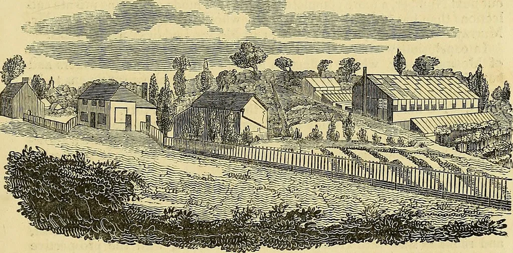 An illustration from The gardener's magazine and register of rural & domestic improvement, 1826, leaf 607