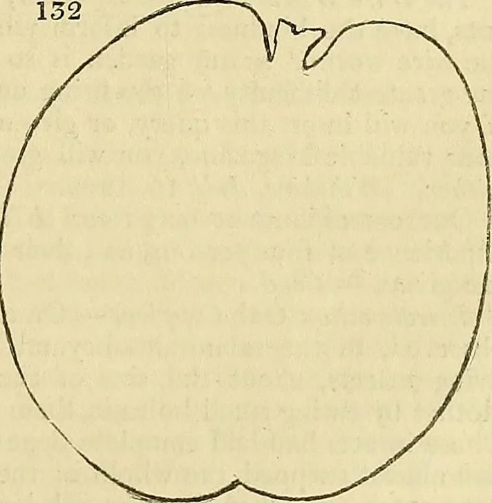 An illustration from The gardener's magazine and register of rural & domestic improvement, 1826, leaf 619