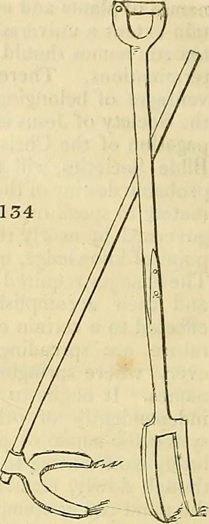 An illustration from The gardener's magazine and register of rural & domestic improvement, 1826, leaf 662