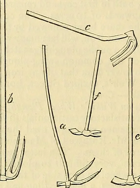 An illustration from The gardener's magazine and register of rural & domestic improvement, 1826, leaf 664