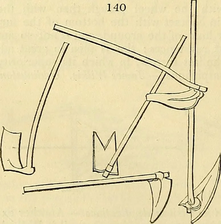 An illustration from The gardener's magazine and register of rural & domestic improvement, 1826, leaf 664