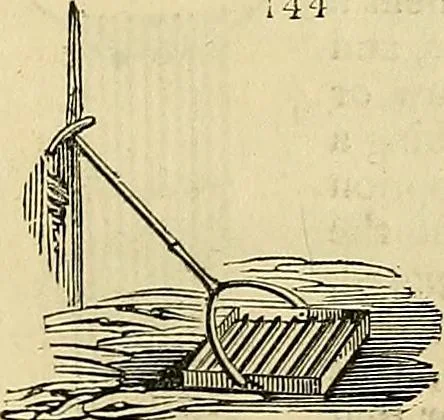 An illustration from The gardener's magazine and register of rural & domestic improvement, 1826, leaf 683