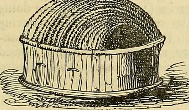 An illustration from The gardener's magazine and register of rural & domestic improvement, 1826, leaf 691