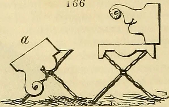 An illustration from The gardener's magazine and register of rural & domestic improvement, 1826, leaf 692