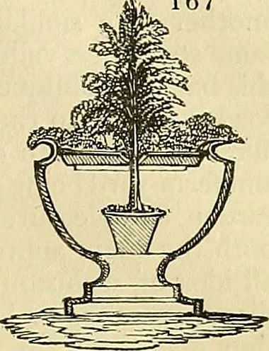 An illustration from The gardener's magazine and register of rural & domestic improvement, 1826, leaf 693