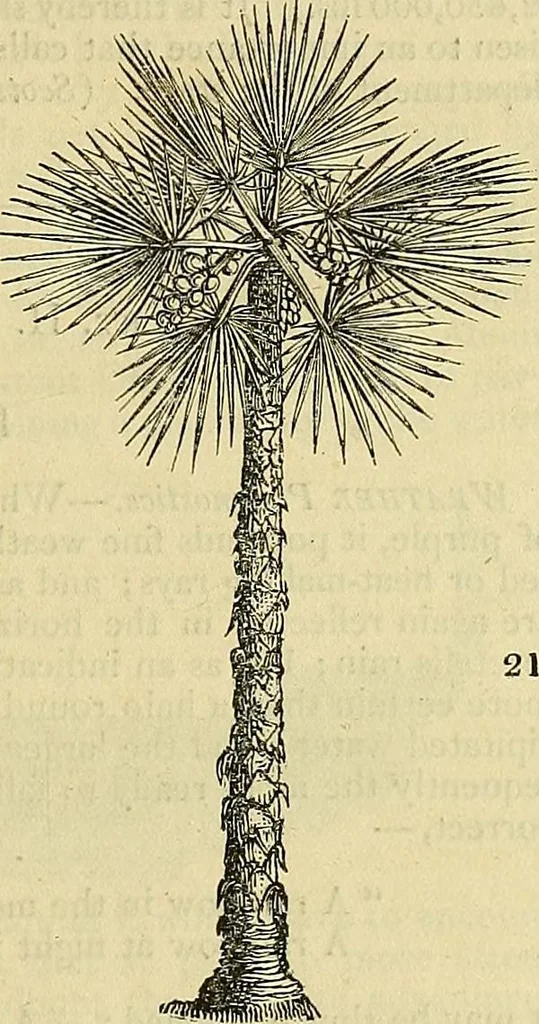 An illustration from The gardener's magazine and register of rural & domestic improvement, 1826, leaf 87