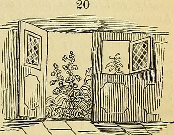 An illustration from The gardener's magazine and register of rural & domestic improvement, 1826, leaf 122