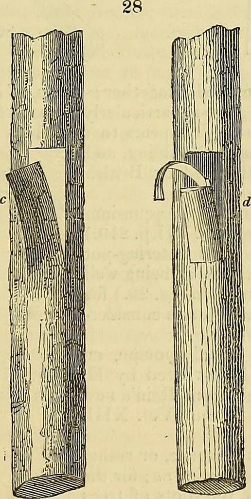 An illustration from The gardener's magazine and register of rural & domestic improvement, 1826, leaf 194