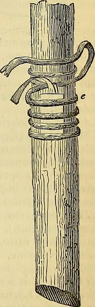 An illustration from The gardener's magazine and register of rural & domestic improvement, 1826, leaf 194