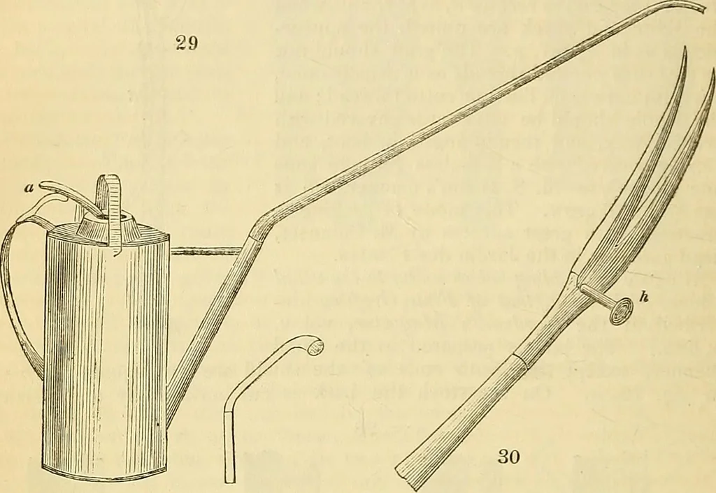 An illustration from The gardener's magazine and register of rural & domestic improvement, 1826, leaf 195