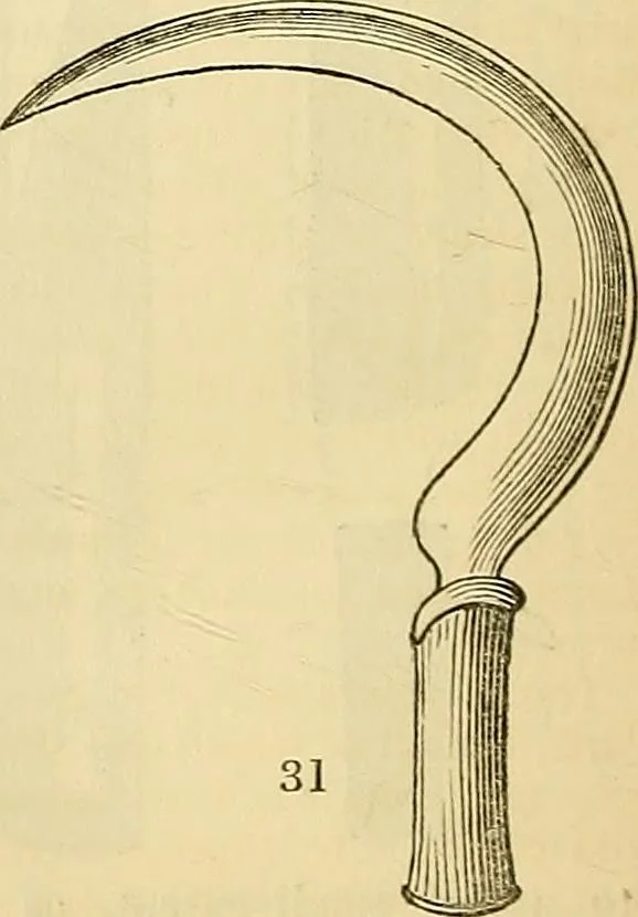 An illustration from The gardener's magazine and register of rural & domestic improvement, 1826, leaf 195