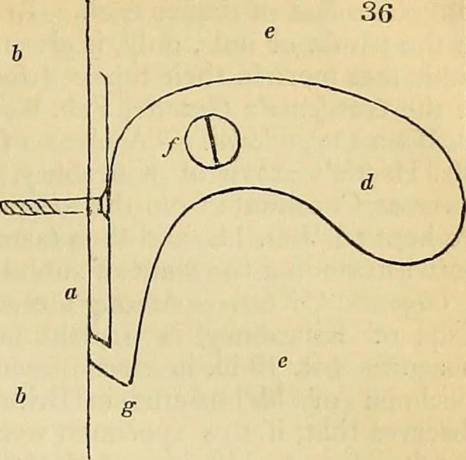 An illustration from The gardener's magazine and register of rural & domestic improvement, 1826, leaf 224
