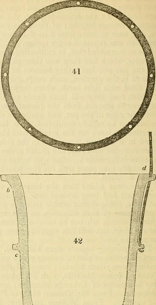 An illustration from The gardener's magazine and register of rural & domestic improvement, 1826, leaf 235