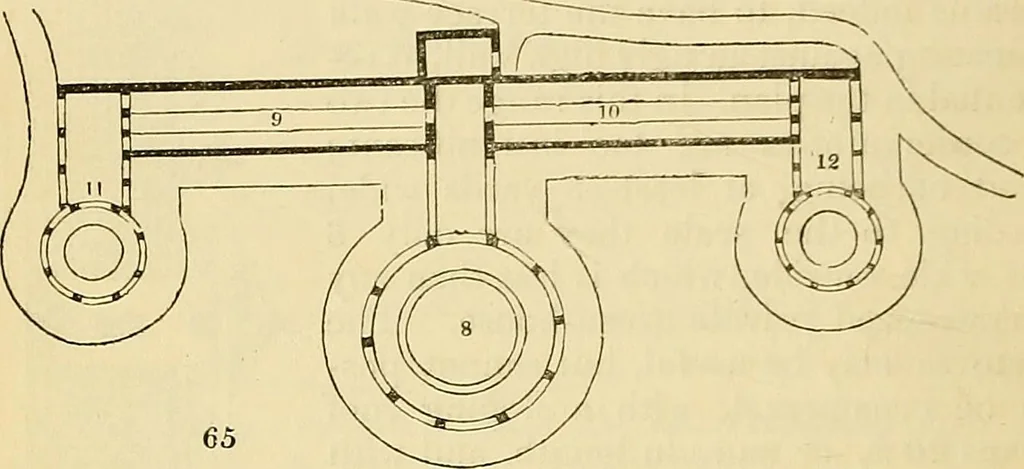 An illustration from The gardener's magazine and register of rural & domestic improvement, 1826, leaf 339