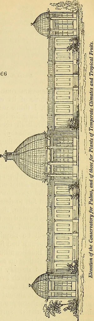 An illustration from The gardener's magazine and register of rural & domestic improvement, 1826, leaf 340