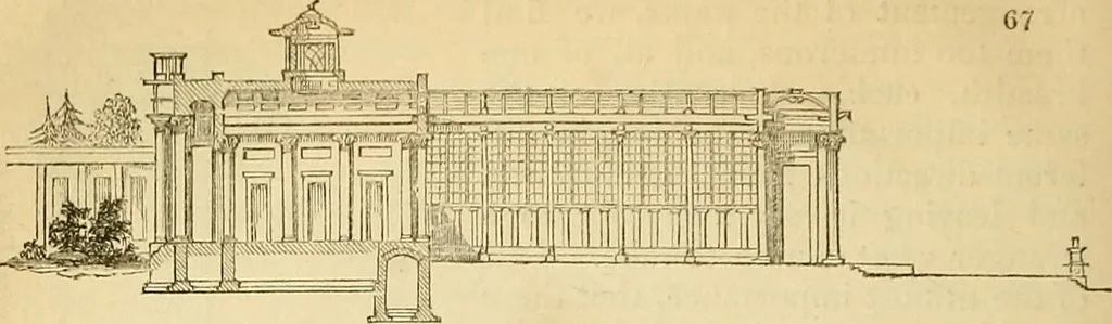 An illustration from The gardener's magazine and register of rural & domestic improvement, 1826, leaf 341