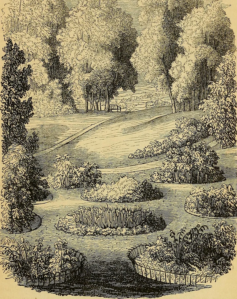 An illustration from The gardener's magazine and register of rural & domestic improvement, 1826, leaf 36