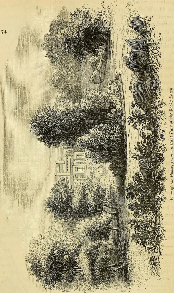 An illustration from The gardener's magazine and register of rural & domestic improvement, 1826, leaf 384