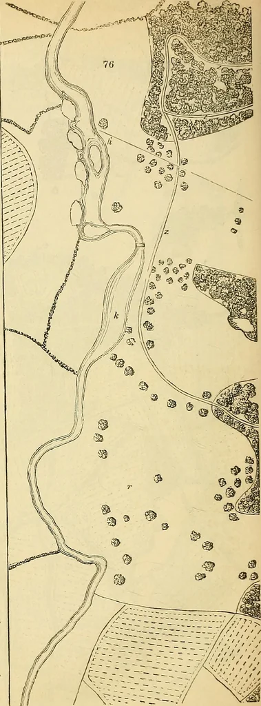 An illustration from The gardener's magazine and register of rural & domestic improvement, 1826, leaf 387