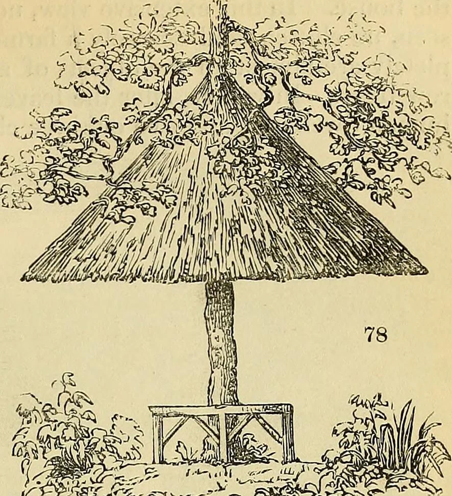 An illustration from The gardener's magazine and register of rural & domestic improvement, 1826, leaf 392