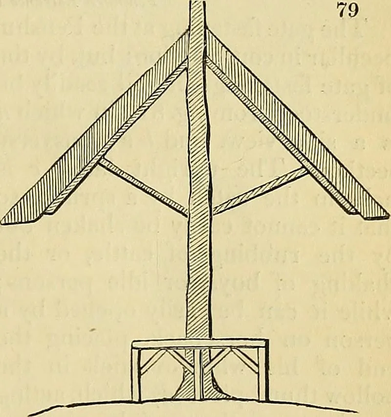 An illustration from The gardener's magazine and register of rural & domestic improvement, 1826, leaf 392