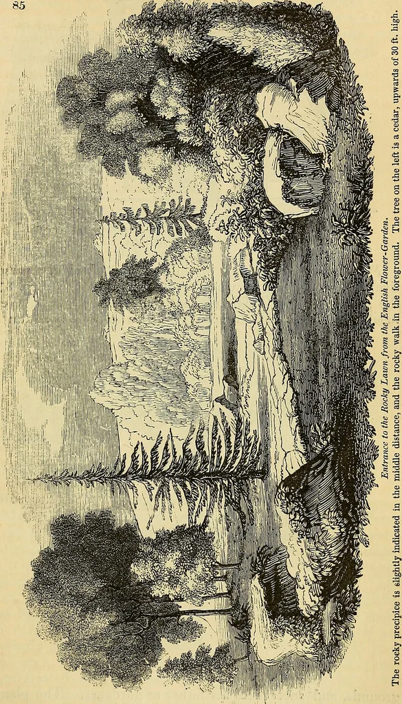 An illustration from The gardener's magazine and register of rural & domestic improvement, 1826, leaf 400