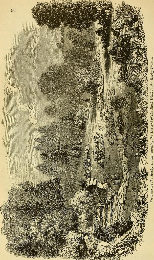 An illustration from The gardener's magazine and register of rural & domestic improvement, 1826, leaf 405