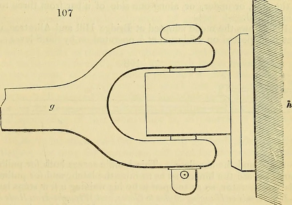 An illustration from The gardener's magazine and register of rural & domestic improvement, 1826, leaf 470