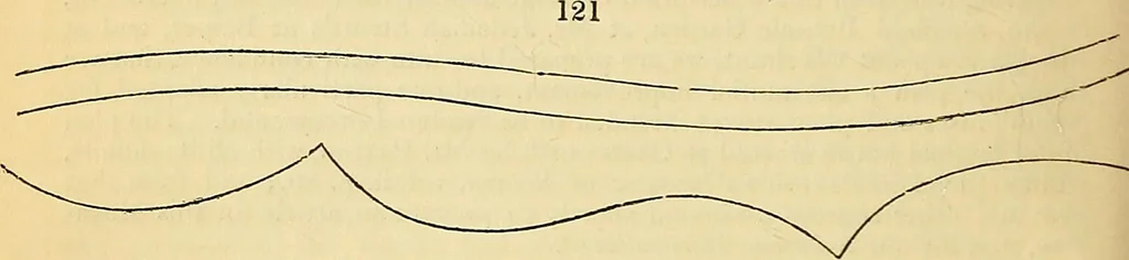 An illustration from The gardener's magazine and register of rural & domestic improvement, 1826, leaf 483
