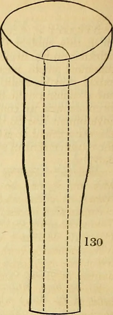 An illustration from The gardener's magazine and register of rural & domestic improvement, 1826, leaf 555