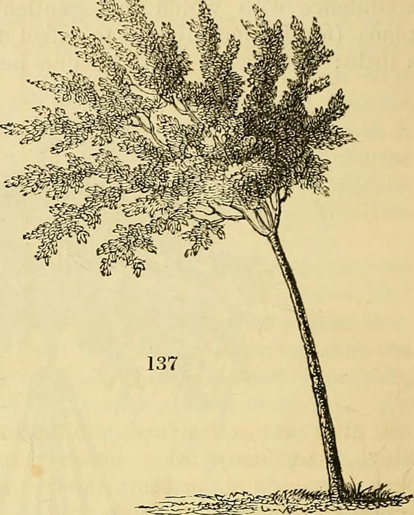 An illustration from The gardener's magazine and register of rural & domestic improvement, 1826, leaf 575