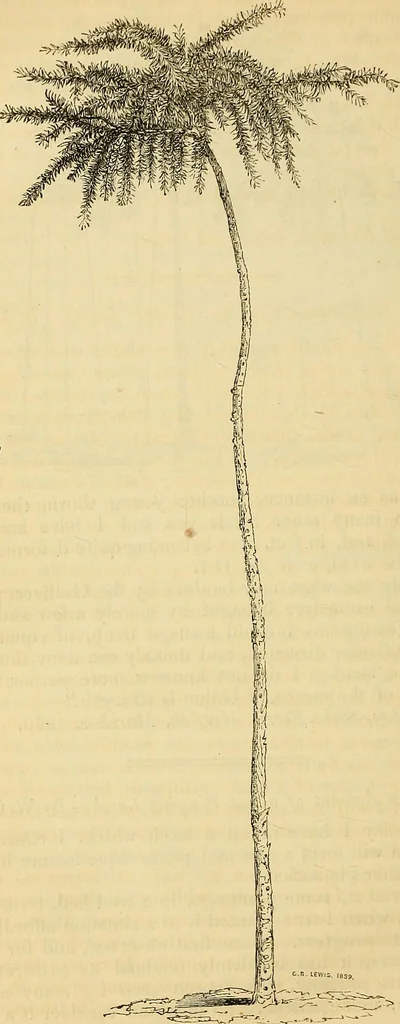 An illustration from The gardener's magazine and register of rural & domestic improvement, 1826, leaf 577