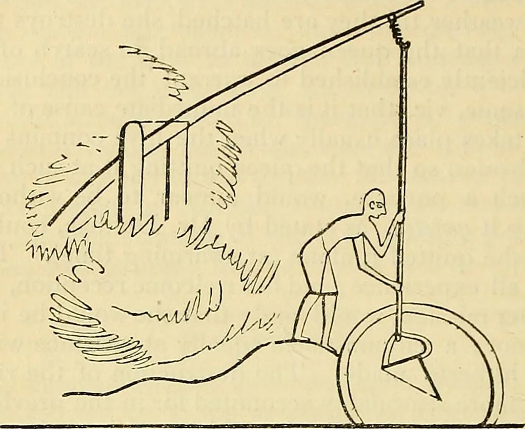 An illustration from The gardener's magazine and register of rural & domestic improvement, 1826, leaf 637