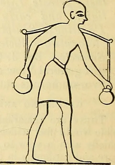 An illustration from The gardener's magazine and register of rural & domestic improvement, 1826, leaf 637