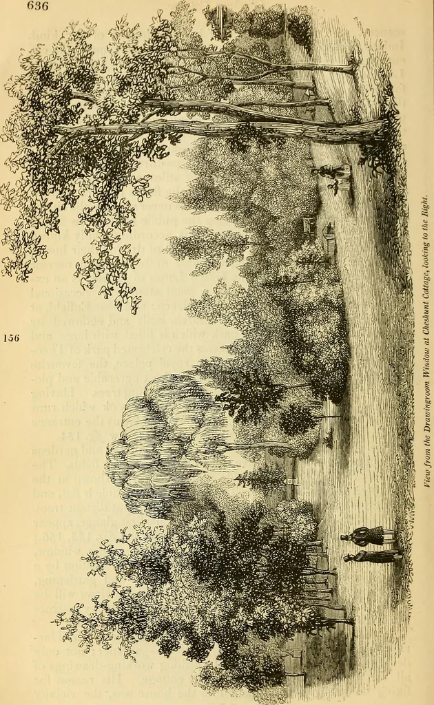 An illustration from The gardener's magazine and register of rural & domestic improvement, 1826, leaf 665