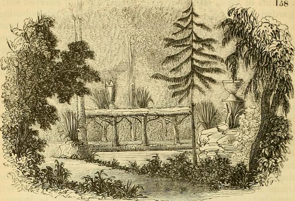 An illustration from The gardener's magazine and register of rural & domestic improvement, 1826, leaf 669