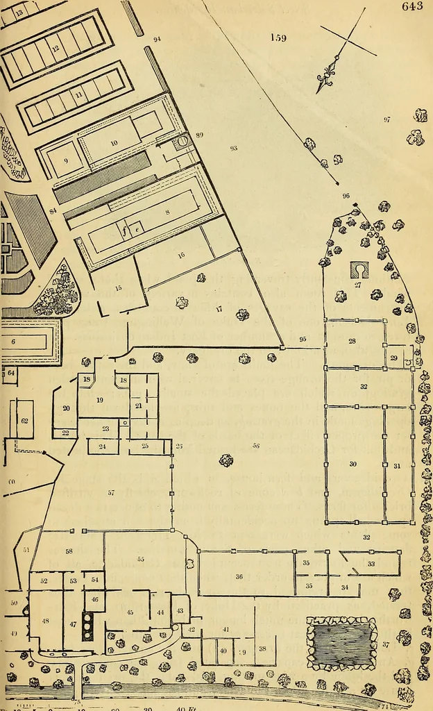 An illustration from The gardener's magazine and register of rural & domestic improvement, 1826, leaf 672