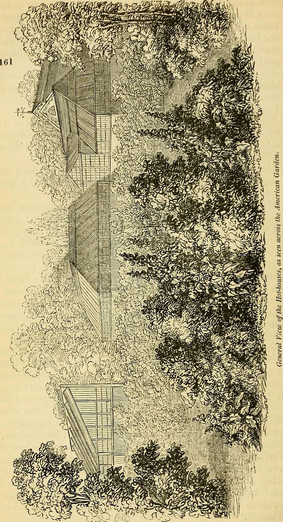 An illustration from The gardener's magazine and register of rural & domestic improvement, 1826, leaf 675
